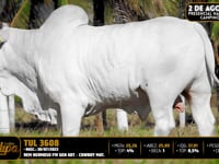 Lote 73