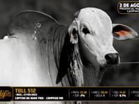 Lote 104