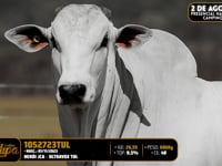 Lote 127