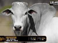 Lote 134