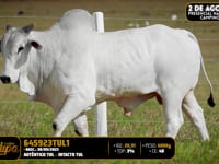 Lote 149