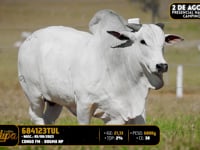 Lote 155