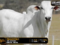 Lote 180