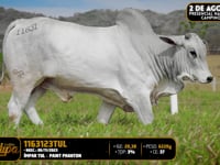 Lote 188