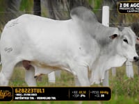 Lote 191