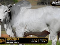 Lote 3000