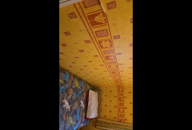Video 1:
