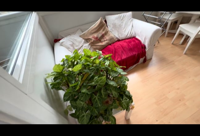 Friendly, clean apartment in heart of West End Main Photo