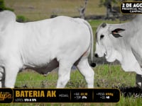 Bateria AK