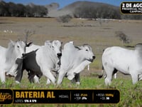 Bateria AL