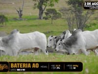 Bateria AO