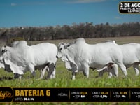 Bateria G