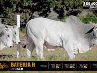 Bateria H