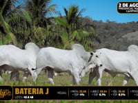 Bateria J-