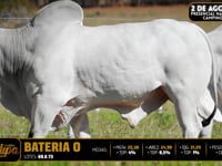Bateria O