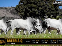 Bateria Q