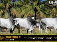 Bateria R
