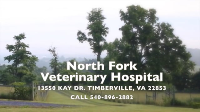 North Fork Veterinary Hospital