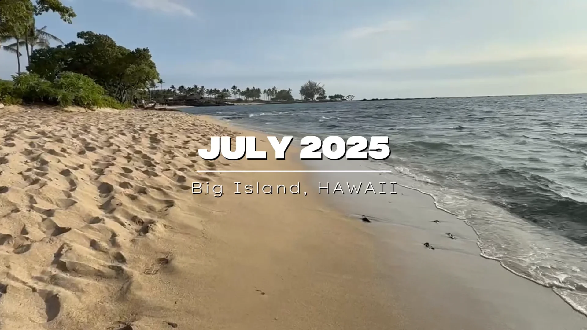 2025年7月ニュースレター - コナ不動産ドットコム