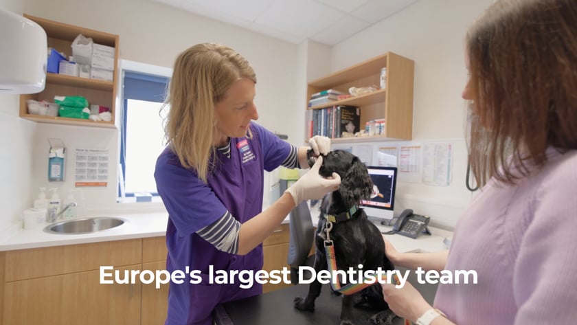 vimeo-video-thumbnail