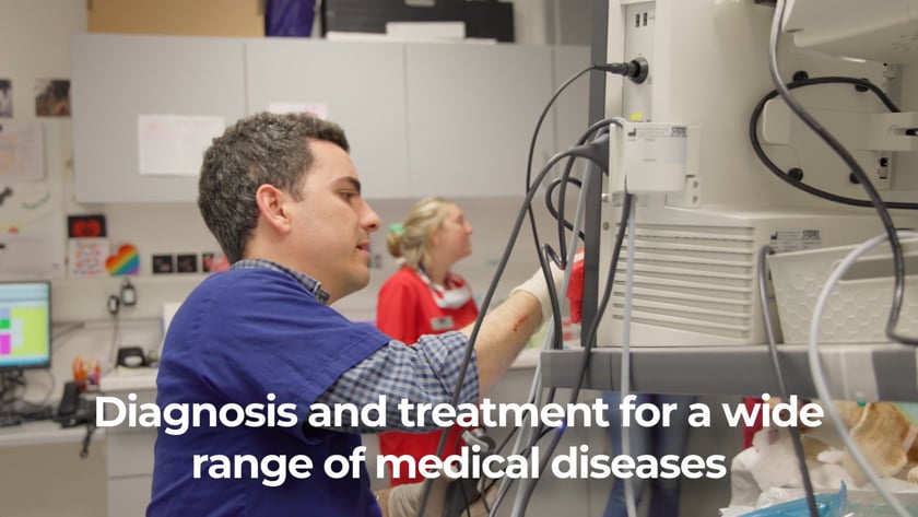 vimeo-video-thumbnail