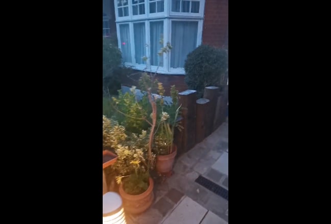 Video 1: