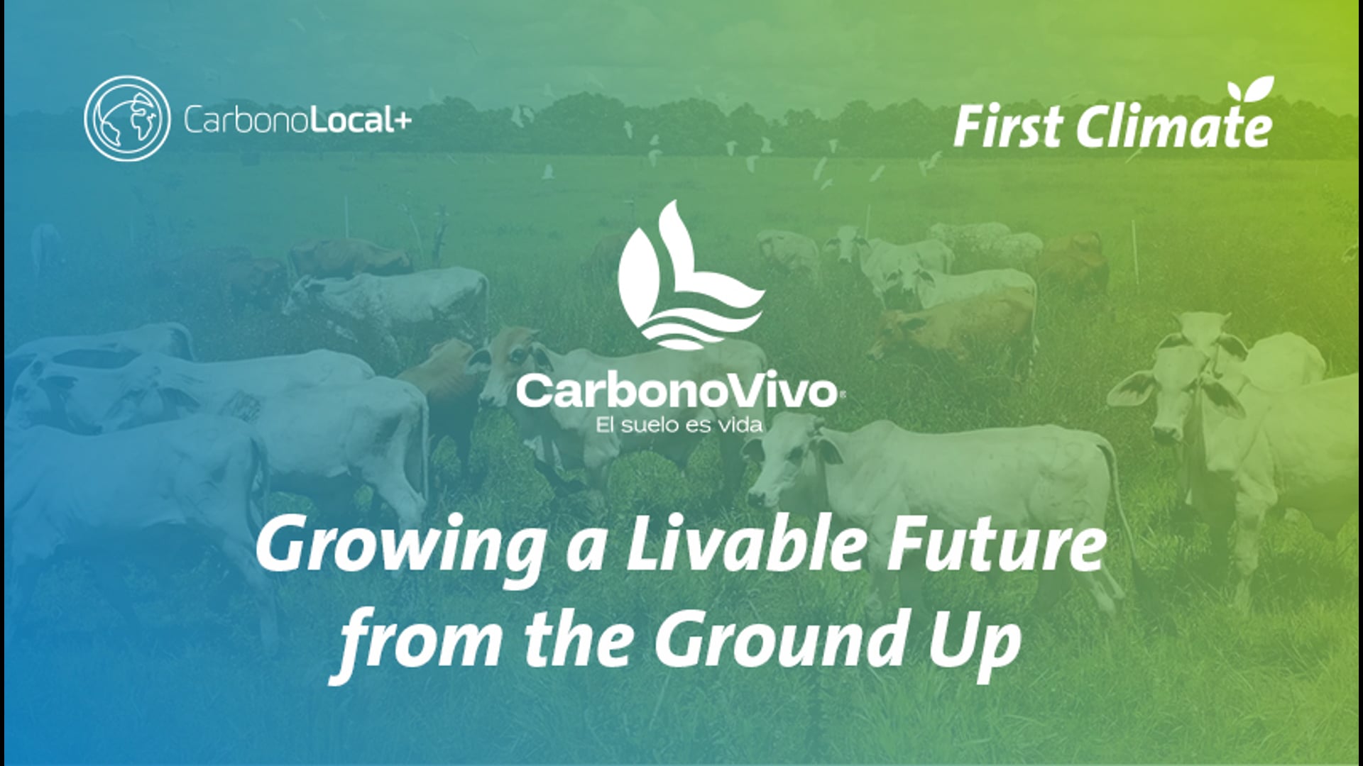 CarbonoVivo: Growing a Livable Future, From the Ground Up