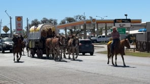 Cowboys Last Ride