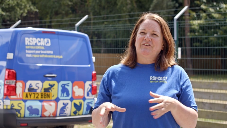 How the RSPCA Suffolk Central Branch Uses Video to Inspire Support and Raise Awareness