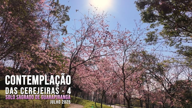 Capa do vídeo “Contemplação das Cerejeiras IV - Solo Sagrado de Guarapiranga | Julho / 2025”