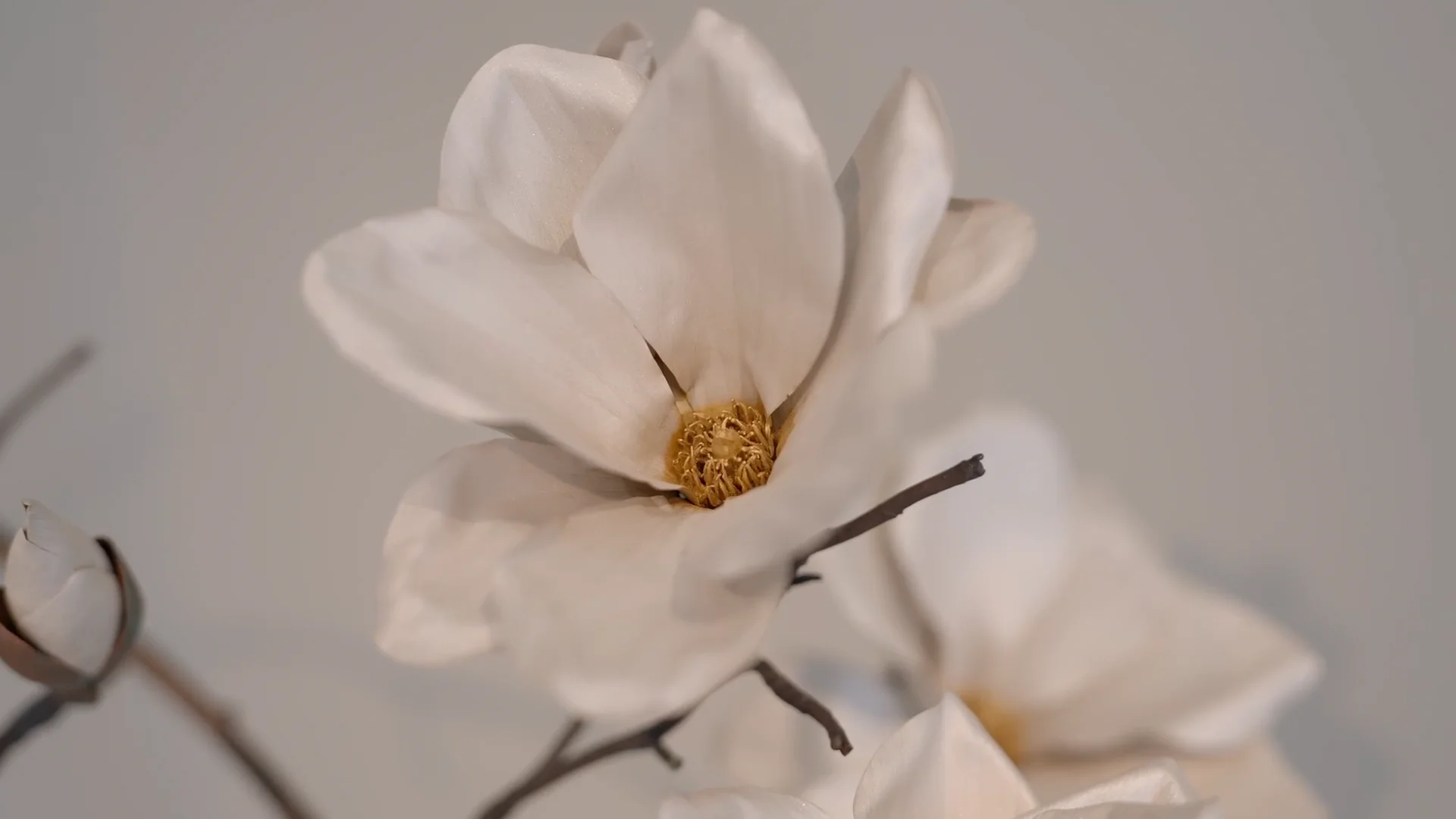 Our Connection to Japan | Stuart Lochhead Sculpture