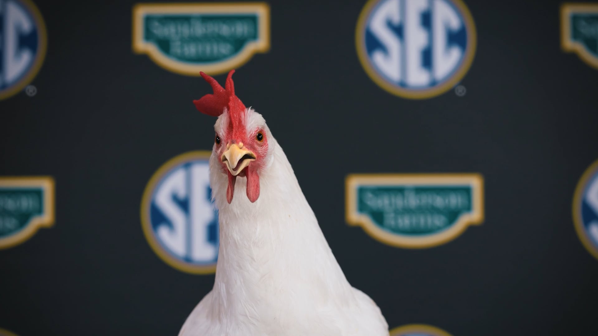 Sanderson Farms "Press Conference Teaser"