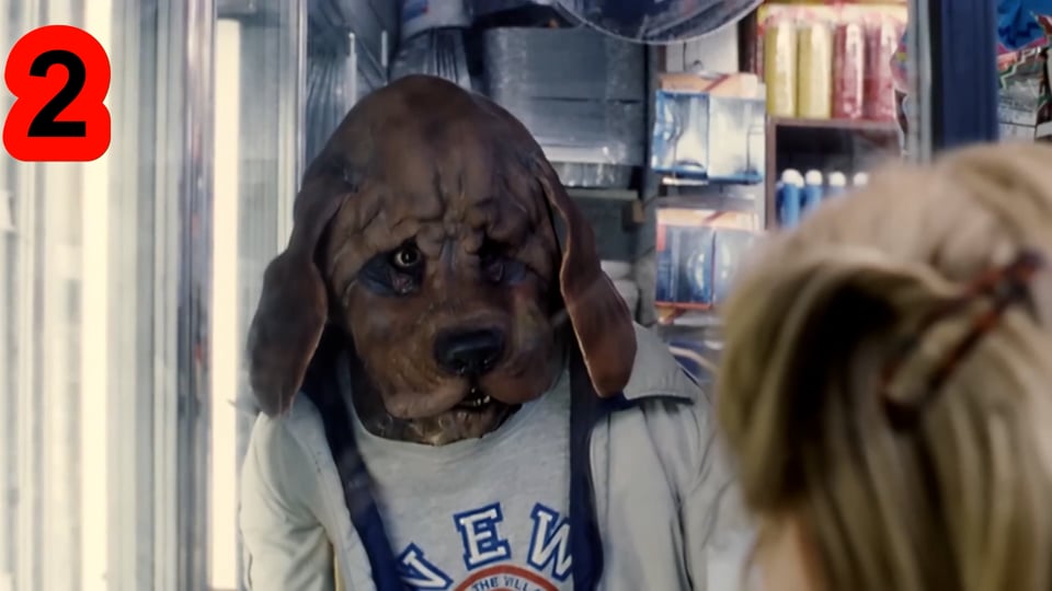 Spoil Your Dog Day
