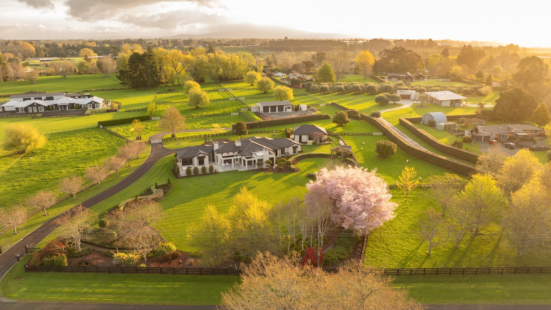 In a Class of its Own