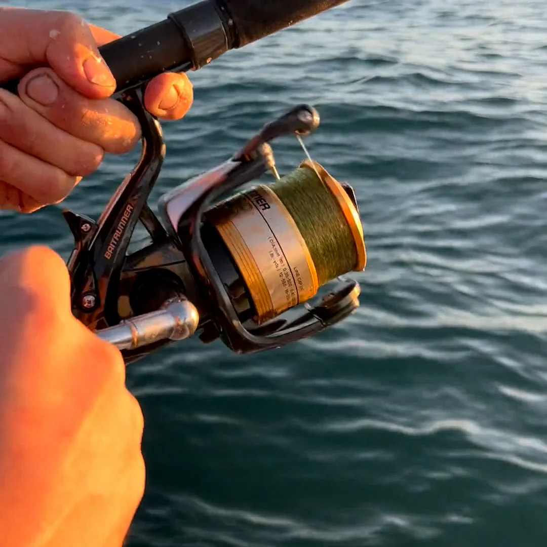 2500 series shimano reel Shimano Sustain FK Spinning Reel main image 0