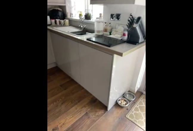 Professional female to share my home Main Photo