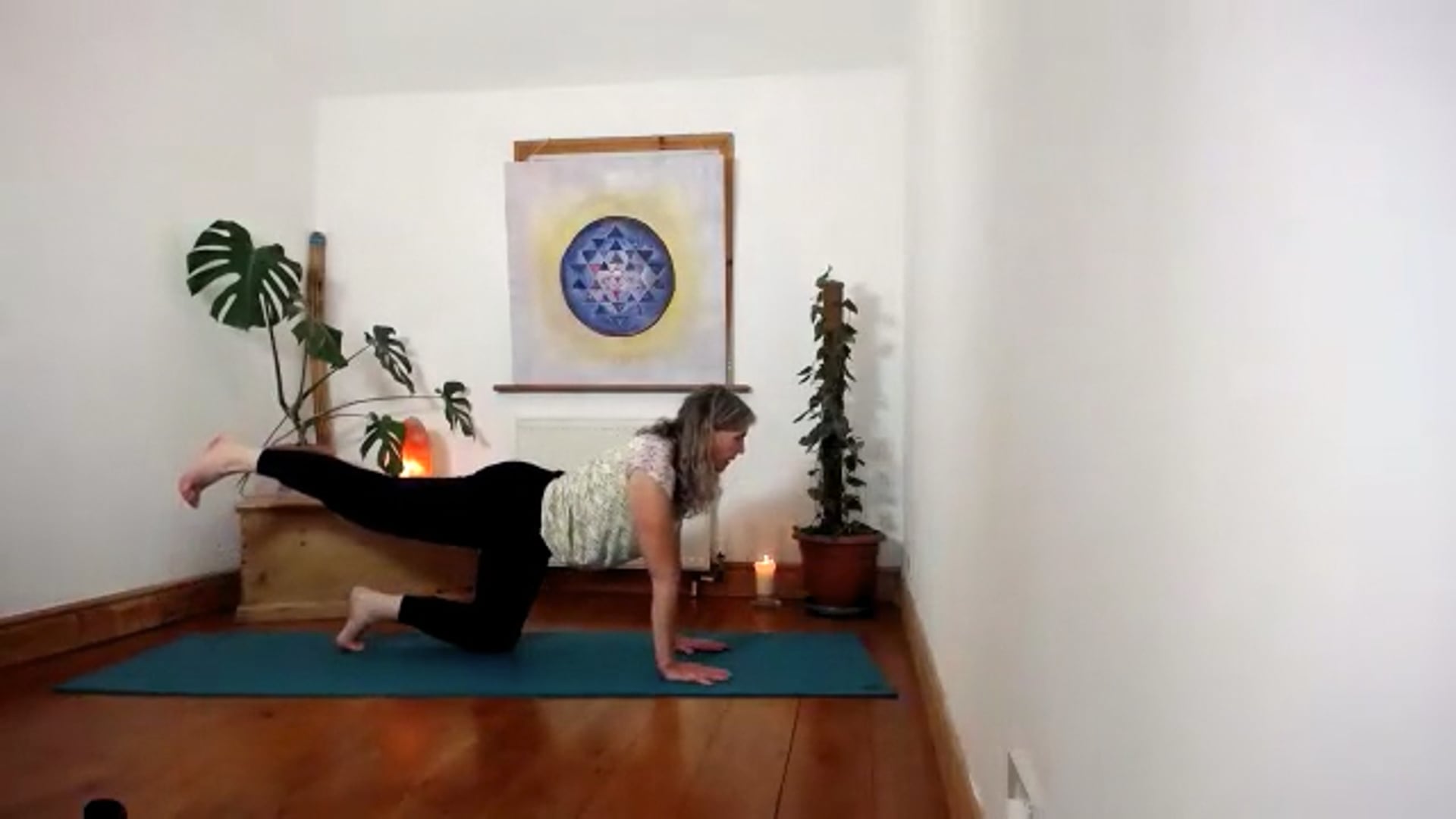 Multilevel wk8 Watering the Self