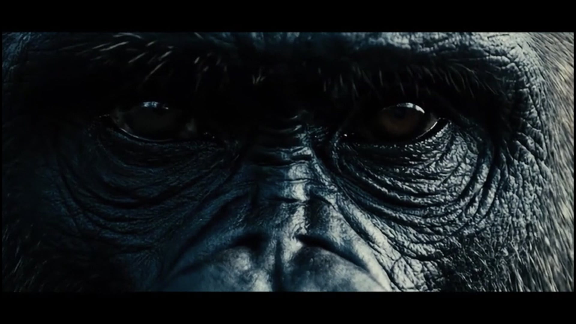 Alec Hernández_ 1 Gorila VS 100 hombres - Películas Que No Existen #01