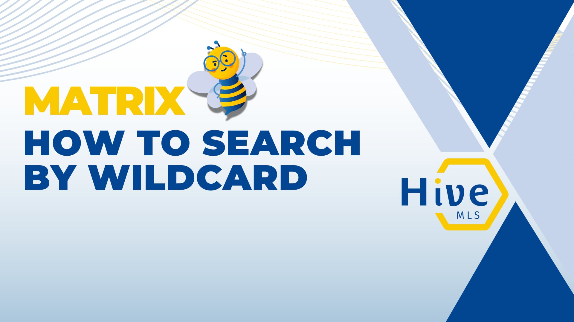 HIVE MLS MATRIX How to search by wildcard