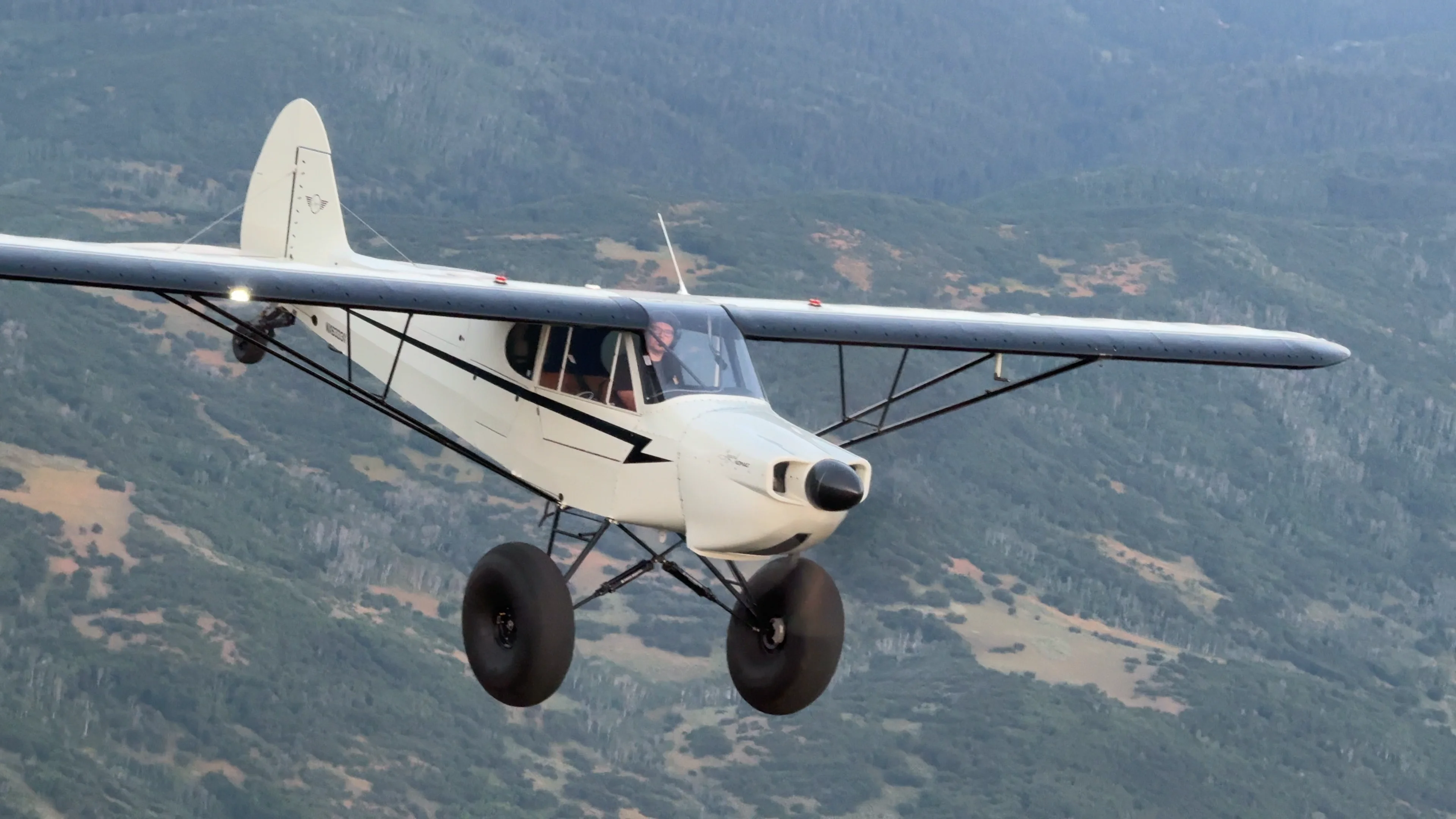 NOMAD | Legend Aircraft
