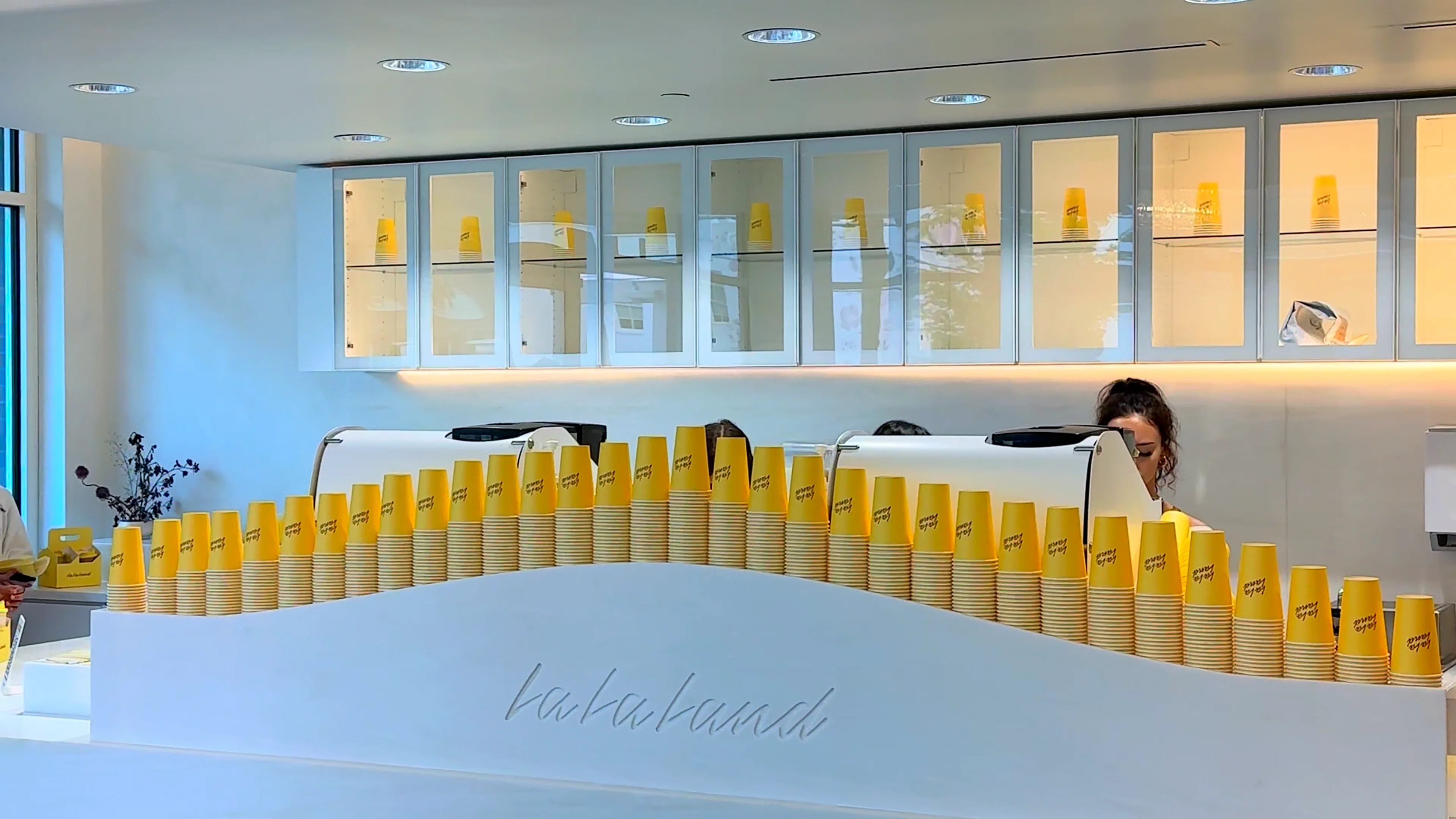 LalalanDです La La Land Kind Café | Nashville Guru