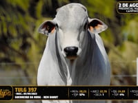 Lote 58