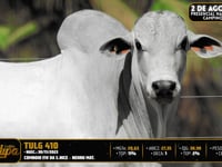 Lote 68