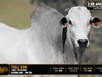 Lote 112