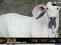 Lote 114