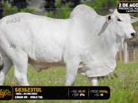 Lote 140