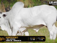 Lote 148