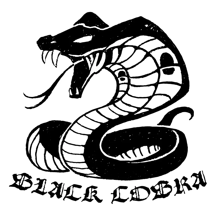 サーフィン・ボディボード ROBERTS BLACK COBRA 5'11 s592645527620547427_p19_i3_w80