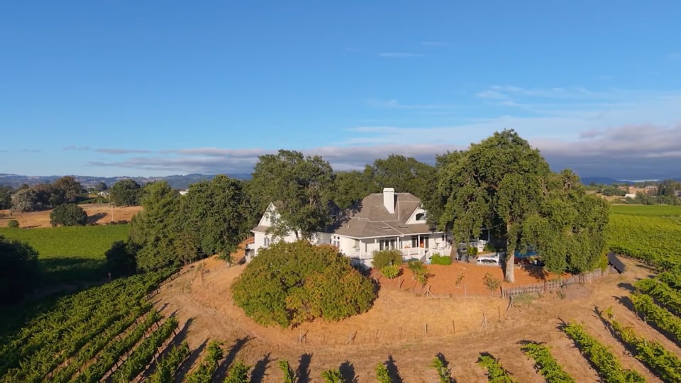 Hilltop Vineyard Estate in Windsor