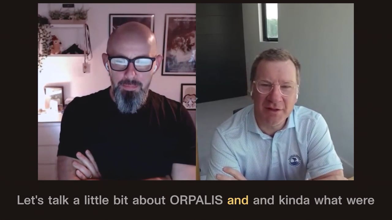 From logo to web design: Cosmin’s journey with ORPALIS